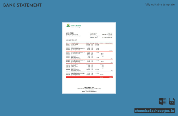Beispiel-Excel-Vorschau eines Kontoauszugs der First Citizens Bank von Trinidad und Tobago